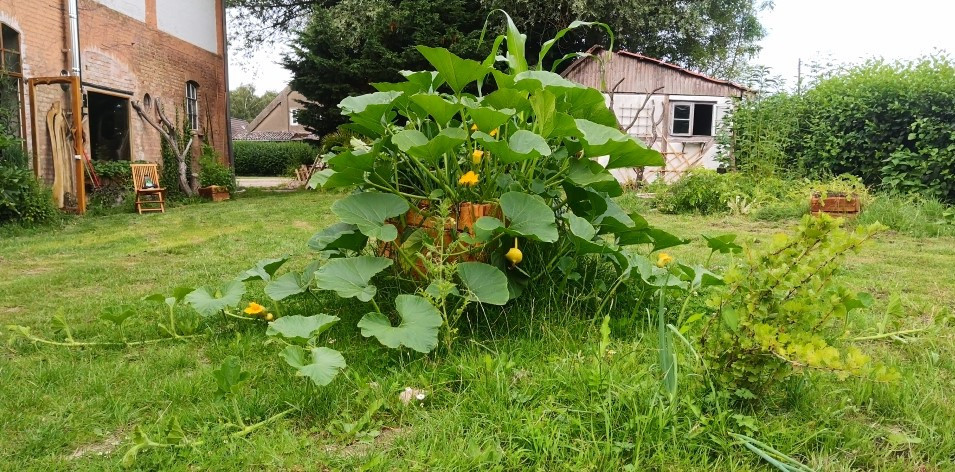 Hochbeet, Grüner Springbrunnen